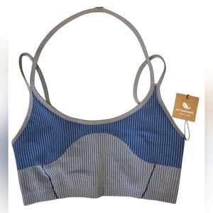 Astroremiges Stylish Gray and Blue Striped Women's Sports Bra Size Large